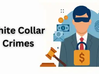 The Legal Implications of White-Collar Crime: From Embezzlement to Fraud